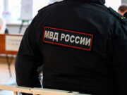 В Сочи собаку выбросили из окна, полиция проводит проверку