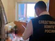 В Сочи мужчина получил 9,5 лет колонии за убийство знакомого топором