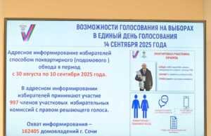 В Сочи на выборах Губернатора и депутатов Горсобрания будут работать 243 избирательных участка