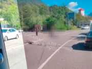 По дороге в Красную Поляну в ДТП погиб мотоциклист