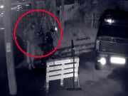 «Одолжил» мопед у знакомого: сочинцу грозит тюремный срок