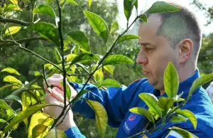 Космонавт Олег Платонов прошёл реабилитацию в Сочи и оставил «след» на Дереве Мира