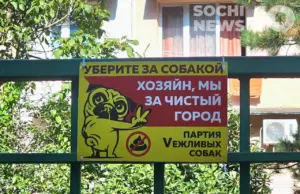 В России вводят новые стандарты для выгула собак