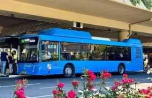 В Сочи с 1 июня автобус № 105А начнёт работать круглосуточно