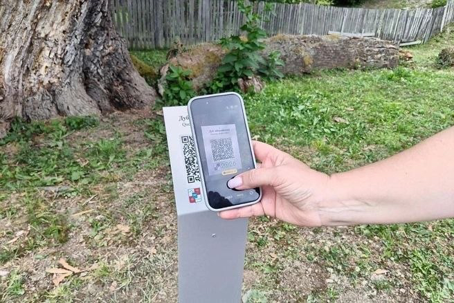 91005